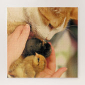 かわいこちゃん ジグソーパズル (横)