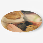 かわいこちゃん ペーパープレート (アングル)