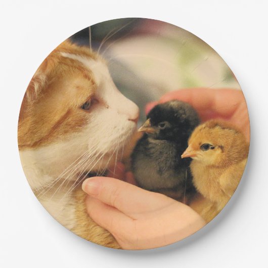 かわいこちゃん ペーパープレート (正面)