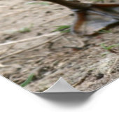 「かわいこちゃん」 ポスター (角)