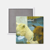 かわいこちゃん! マグネット (正面/裏面)