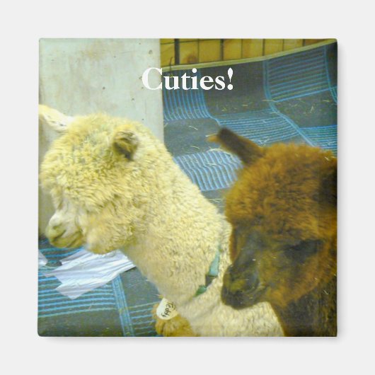 かわいこちゃん! マグネット (正面)