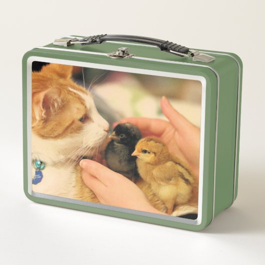 かわいこちゃん メタルランチボックス (正面)