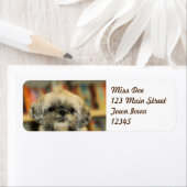 かわいこちゃん ラベル (インサイチュ)