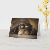 かわいこちゃんCav! カード (黄色い花)