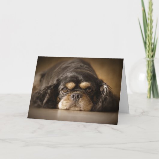 かわいこちゃんCav! カード (正面)