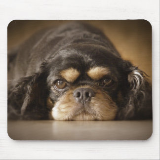 かわいこちゃんCav! マウスパッド