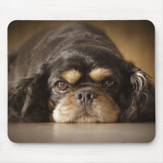 かわいこちゃんCav! マウスパッド (正面)