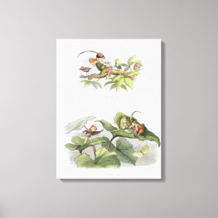 かわいそうな小さなバーディーをからかうと、求愛は短く切った キャンバスプリント