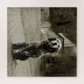 かわいそうな犬が待っている ジグソーパズル (横)