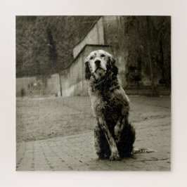 かわいそうな犬が待っている ジグソーパズル