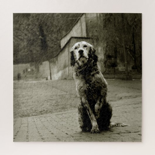 かわいそうな犬が待っている ジグソーパズル (縦)