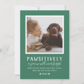 かわいそうに忘れられない一年緑の犬の写真 シーズンカード (正面)