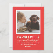 かわいそうに忘れられない一年赤い子犬の写真 シーズンカード (正面)