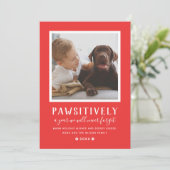 かわいそうに忘れられない一年赤い子犬の写真 シーズンカード (スタンド正面)