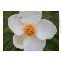 かわいらしいあります