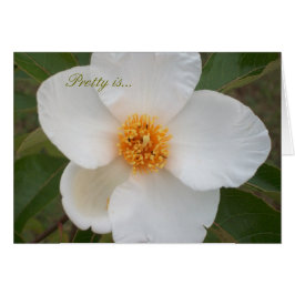 かわいらしいあります