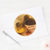 かわいらしいアヒルは口を利く ラウンドシール (封筒)