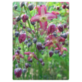 かわいらしいイカリソウ(妖精の翼)の花の春の写真 クリップボード (裏面)