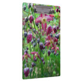 かわいらしいイカリソウ(妖精の翼)の花の春の写真 クリップボード (右)