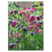 かわいらしいイカリソウ(妖精の翼)の花の春の写真 クリップボード (正面)