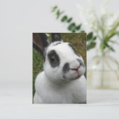 かわいらしいウサギの葉書 ポストカード (スタンド正面)