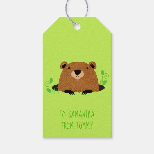 かわいらしいウッドランドのグラウンドホッグの模様 ギフトタグ (正面)