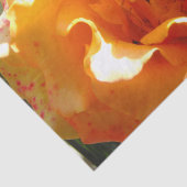 かわいらしいオレンジは上がりました 薄葉紙 (詳細)