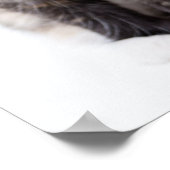 かわいらしいカリコキッテン ポスター (角)