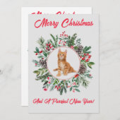 かわいらしいキッテンフラットホリデーカード シーズンカード (正面/裏面)