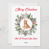 かわいらしいキッテンフラットホリデーカード シーズンカード (裏面)