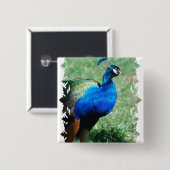 かわいらしいクジャクボタン 缶バッジ (正面&裏面)