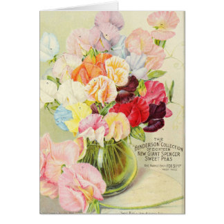 かわいらしいスイートピー