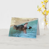 かわいらしいソフトシェルカメ カード (黄色い花)