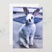 かわいらしいバニー シーズンカード (正面/裏面)