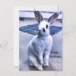 かわいらしいバニー シーズンカード