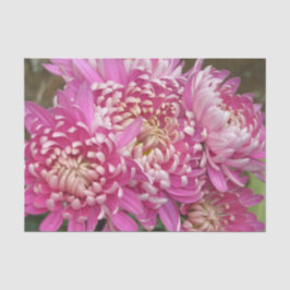 かわいらしいピンクのティッシュペーパー 薄葉紙