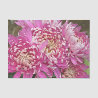 かわいらしいピンクのティッシュペーパー 薄葉紙