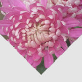 かわいらしいピンクのティッシュペーパー 薄葉紙 (詳細)