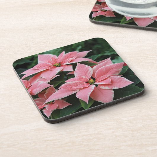 かわいらしいピンクのポインセチアのコースター コースター (左側)