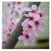 かわいらしいピンクの桜の花 タイル (正面)