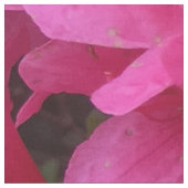 かわいらしいピンクの花の生地 ファブリック (クローズアップ)