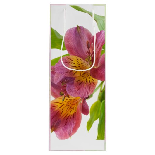 かわいらしいプラムユリ ワインギフトバッグ (正面)