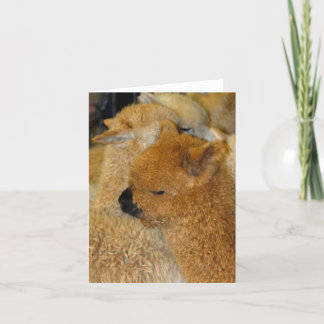 かわいらしいベビー カード