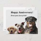 かわいらしいペット周年記念はがき ポストカード (正面/裏面)