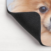 かわいらしいポメラニア犬のマウスパッド マウスパッド (コーナー)