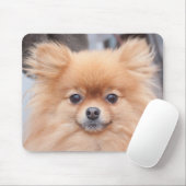 かわいらしいポメラニア犬のマウスパッド マウスパッド (マウス)