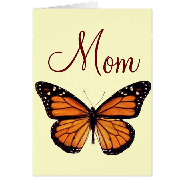 かわいらしいマダラチョウ (正面)