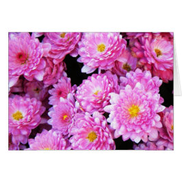 "かわいらしいミイラ"