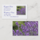 かわいらしいラベンダーは名刺の守備につきます 名刺 (正面/裏面)